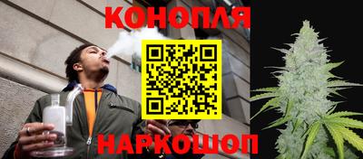 сатива Кунгур